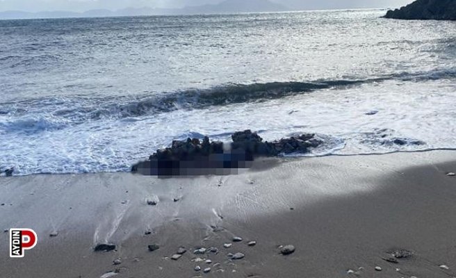 Denizde ve sahilde iki ceset bulundu