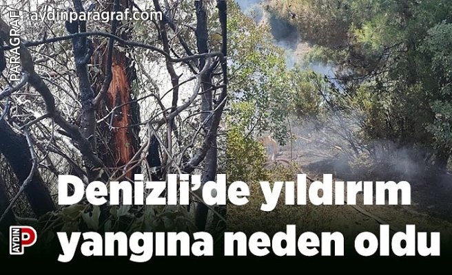 Denizli’de yıldırım yangına neden oldu