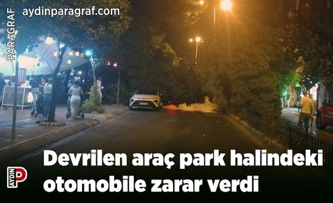 Devrilen araç park halindeki otomobile zarar verdi