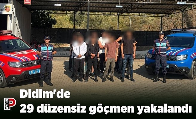 Didim'de 29 düzensiz göçmen yakalandı