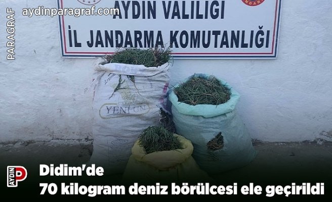 Didim'de 70 kilogram deniz börülcesi ele geçirildi