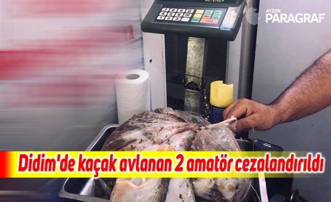 Didim'de kaçak avlanan 2 amatör cezalandırıldı