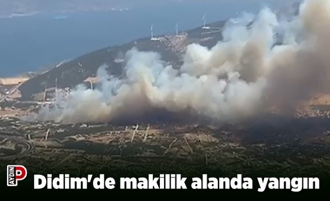 Didim'de makilik alanda yangın