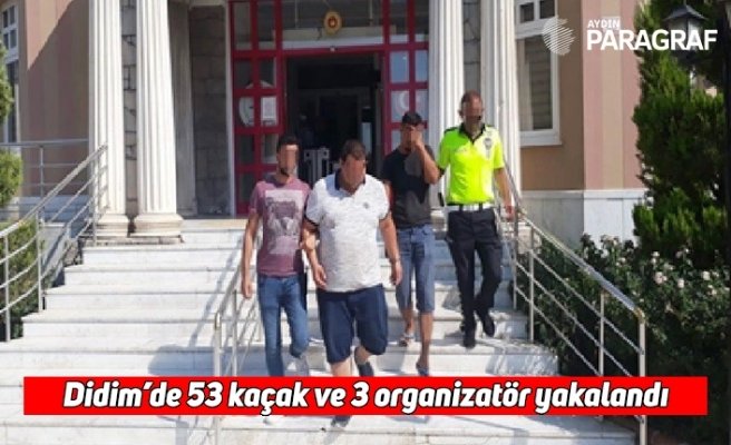 Didim’de 53 kaçak ve 3 organizatör yakalandı