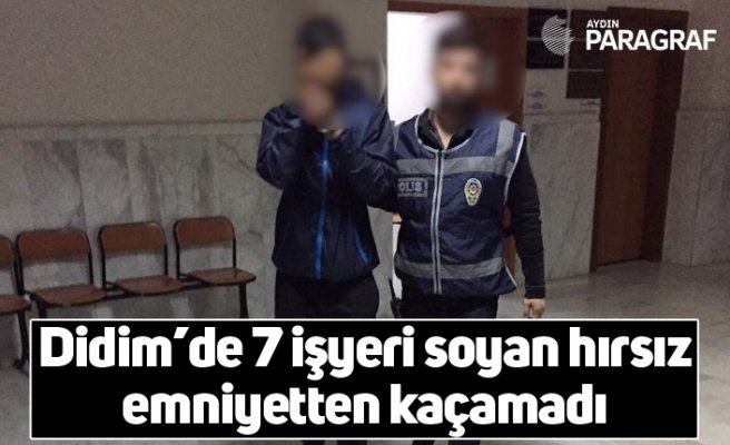 Didim’de 7 işyeri soyan hırsız emniyetten kaçamadı