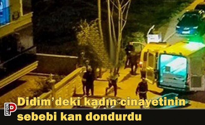Didim’deki kadın cinayetinin sebebi kan dondurdu