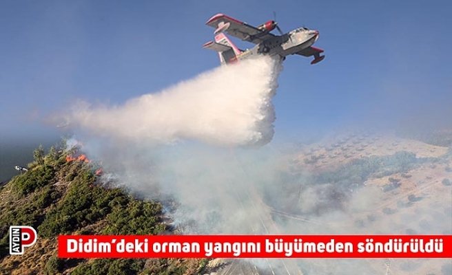 Didim’deki orman yangını büyümeden söndürüldü