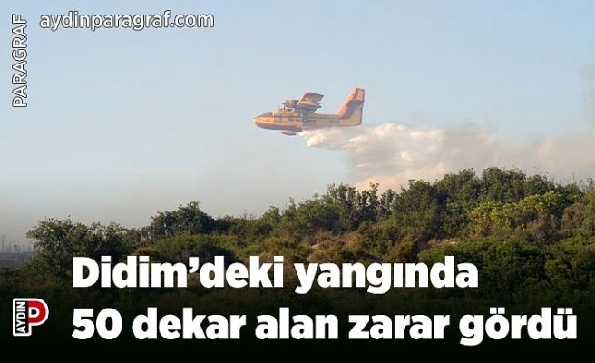 Didim’deki yangında 50 dekar alan zarar gördü