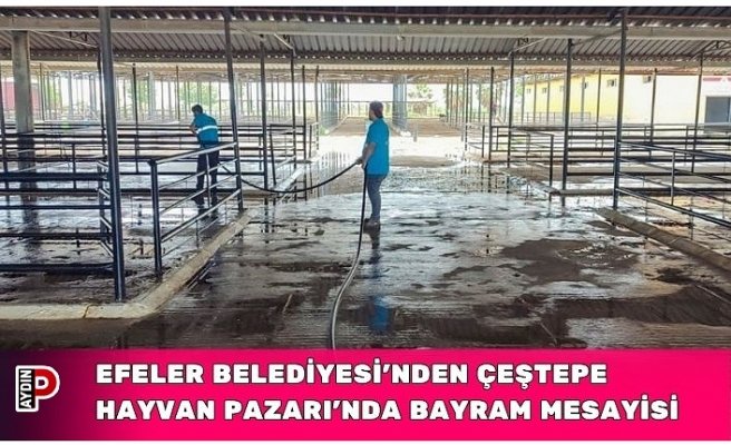 EFELER BELEDİYESİ'NDEN ÇEŞTEPE HAYVAN PAZARI'NDA BAYRAM ÖNCESİ YOĞUN MESAYİSİ