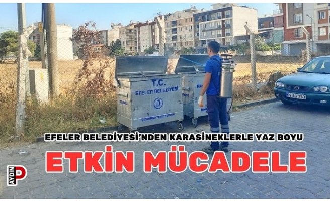 EFELER BELEDİYESİ’NDEN KARASİNEKLERLE YAZ BOYU ETKİN MÜCADELE
