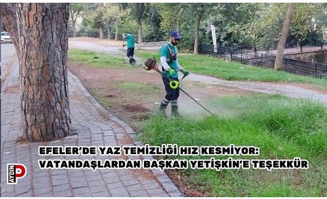 EFELER'DE YAZ TEMİZLİĞİ HIZ KESMİYOR: VATANDAŞLARDAN BAŞKAN YETİŞKİN'E TEŞEKKÜR