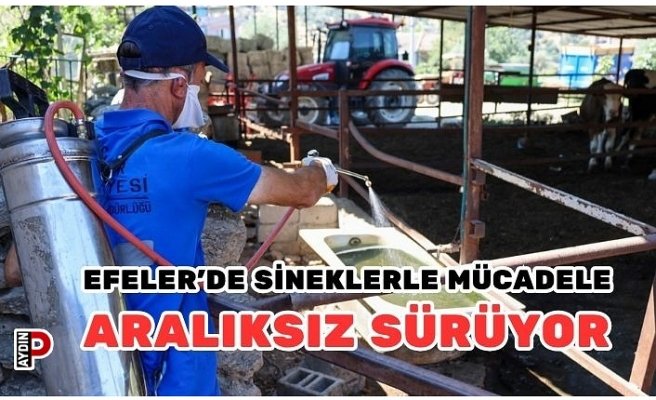 EFELER’DE SİNEKLERLE MÜCADELE ARALIKSIZ SÜRÜYOR