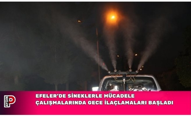 EFELER’DE SİNEKLERLE MÜCADELE ÇALIŞMALARINDA GECE İLAÇLAMALARI BAŞLADI