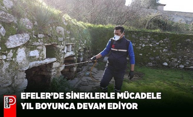 EFELER’DE SİNEKLERLE MÜCADELE YIL BOYUNCA DEVAM EDİYOR