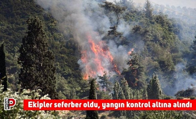 Ekipler seferber oldu, yangın kontrol altına alındı