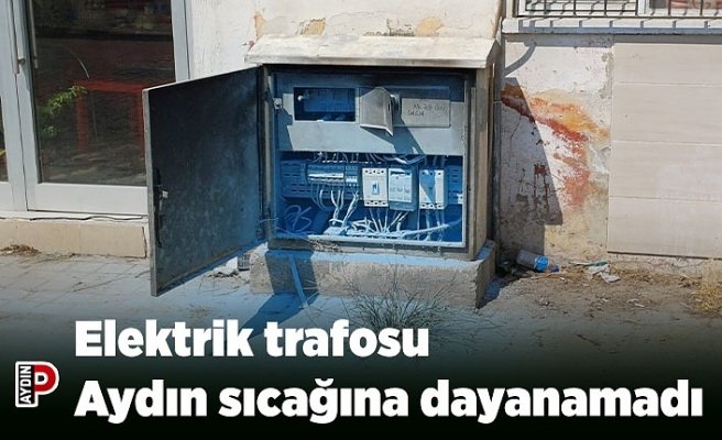 Elektrik trafosu Aydın sıcağına dayanamadı