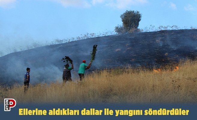 Ellerine aldıkları dallar ile yangını söndürdüler