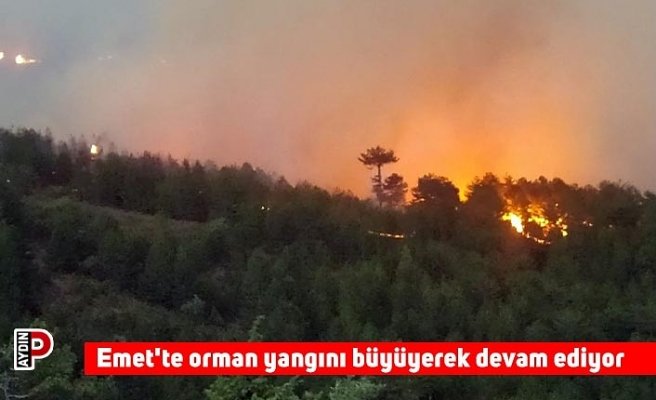 Emet'te orman yangını büyüyerek devam ediyor