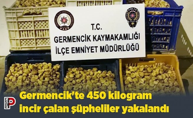 Germencik'te 450 kilogram incir çalan şüpheliler yakalandı