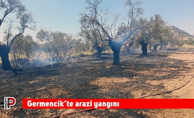 Germencik’te arazi yangını