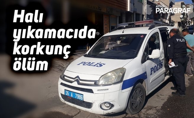 Halı yıkamacıda korkunç ölüm