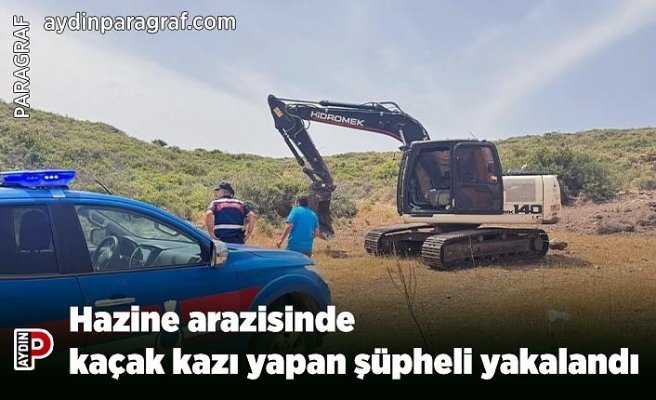 Hazine arazisinde kaçak kazı yapan şüpheli yakalandı