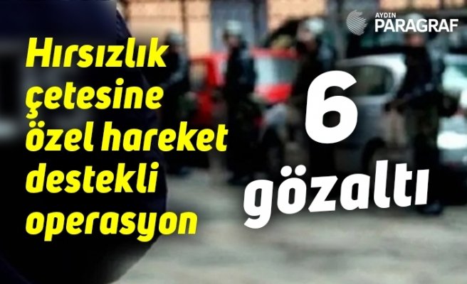 Hırsızlık çetesine özel hareket destekli operasyon: 6 gözaltı