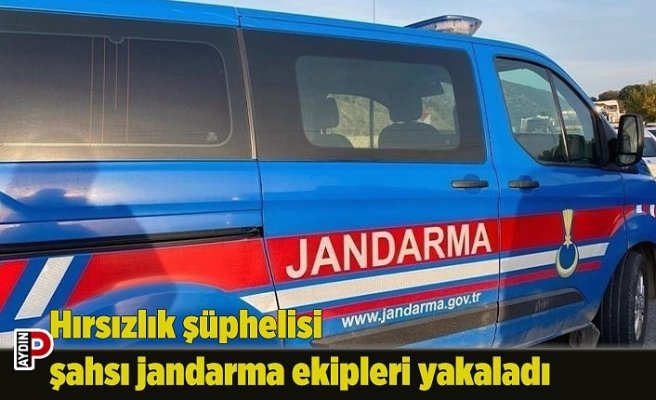 Hırsızlık şüphelisi şahsı jandarma ekipleri yakaladı
