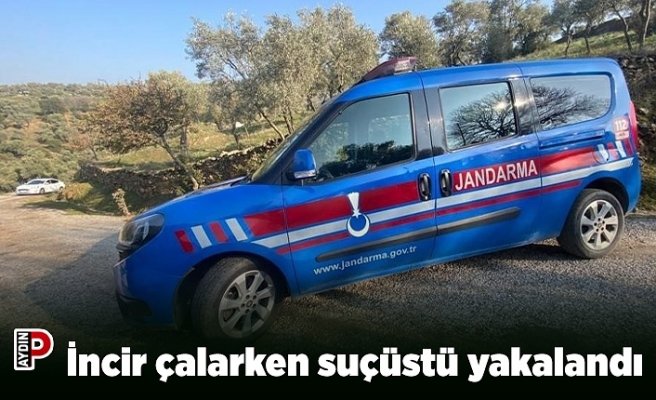 İncir çalarken suçüstü yakalandı