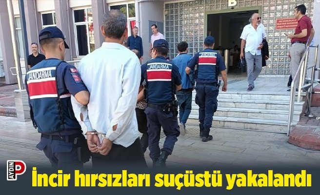 İncir hırsızları suçüstü yakalandı