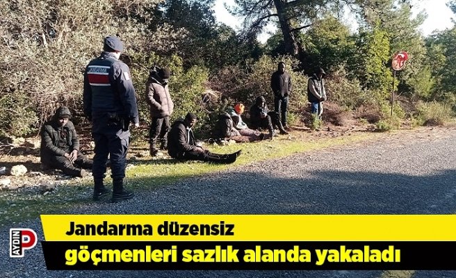 Jandarma düzensiz göçmenleri sazlık alanda yakaladı