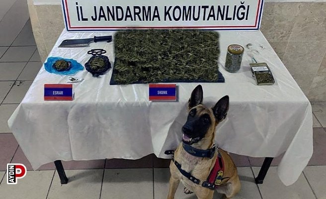 Jandarmadan uyuşturucu operasyonu: 65 gözaltı