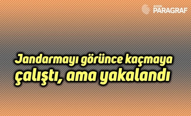 Jandarmayı görünce kaçmaya çalıştı, ama yakalandı