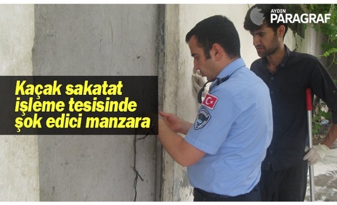 Kaçak sakatat işleme tesisinde şok edici manzara