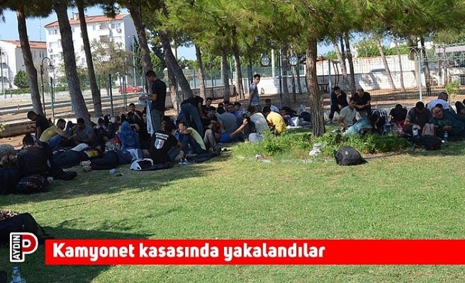 Kamyonet kasasında yakalandılar