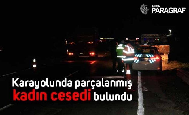 Karayolunda parçalanmış kadın cesedi bulundu