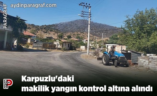 Karpuzlu'daki makilik yangın kontrol altına alındı