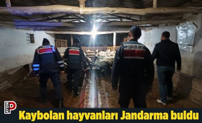 Kaybolan hayvanları Jandarma buldu