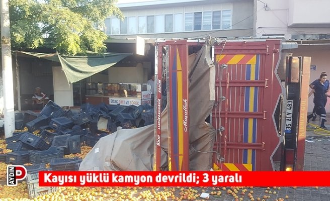 Kayısı yüklü kamyon devrildi; 3 yaralı