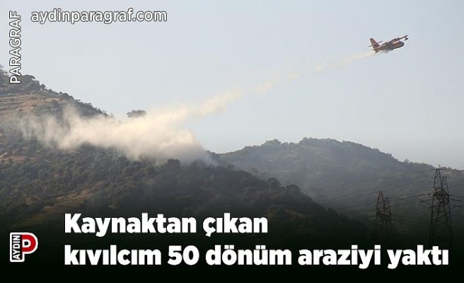 Kaynaktan çıkan kıvılcım 50 dönüm araziyi yaktı