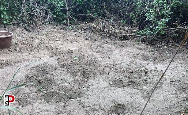 Kenevir sularken suçüstü yakalandılar