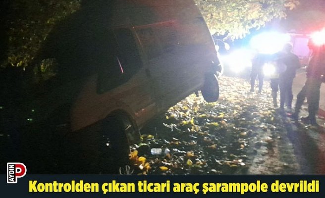 Kontrolden çıkan ticari araç şarampole devrildi