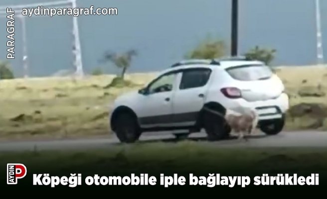 Köpeği otomobile iple bağlayıp sürükledi