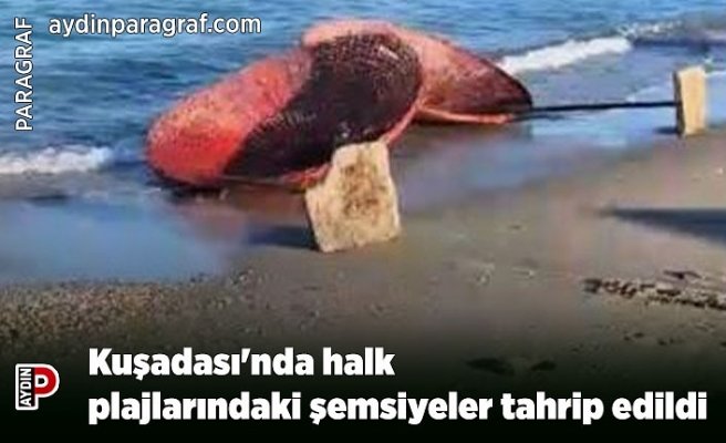 Kuşadası'nda halk plajlarındaki şemsiyeler tahrip edildi