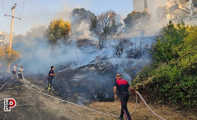 Kuşadası'nda korkutan yangın