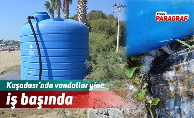 Kuşadası’nda vandallar yine iş başında