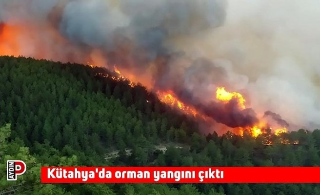 Kütahya'da orman yangını çıktı