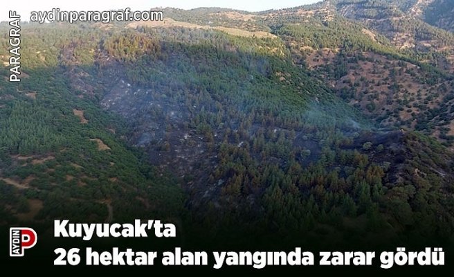 Kuyucak'ta 26 hektar alan yangında zarar gördü