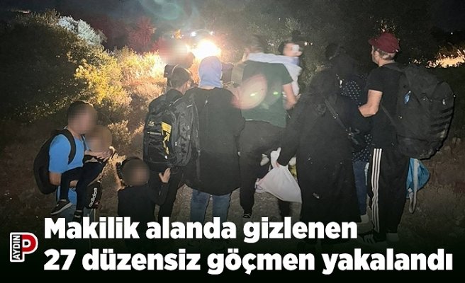 Makilik alanda gizlenen 27 düzensiz göçmen yakalandı