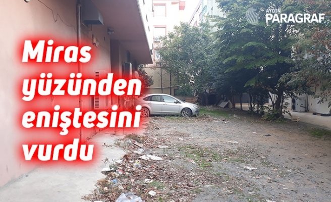 Miras yüzünden eniştesini vurdu